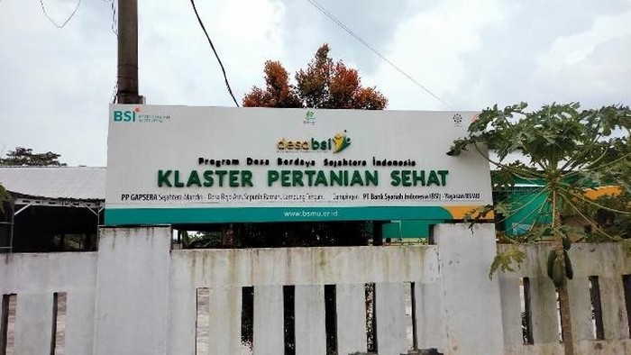 Ilustrasi BSI