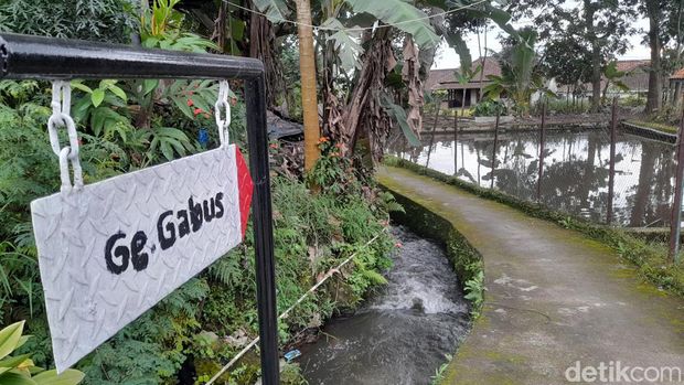 Kampung Ikan Batukarut  di Sumedang.