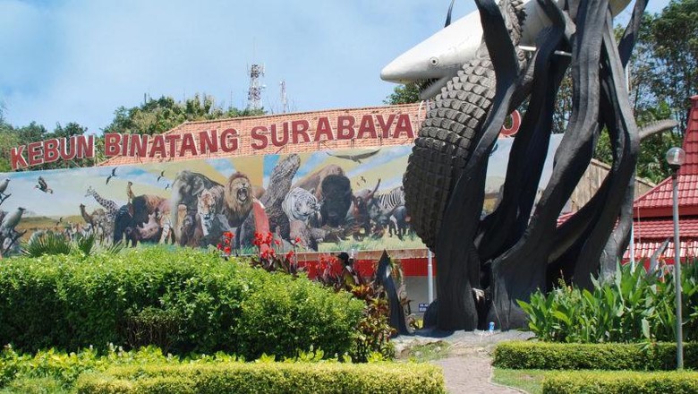 Kebun Binatang Surabaya Kebun Binatang Surabaya (KBS) merupakan kebun binatang yang pernah menjadi yang terlengkap se-Asia Tenggara. Ada lebih dari 351 spesies satwa yang berbeda di sini. Total satwa mencapai ribuan.