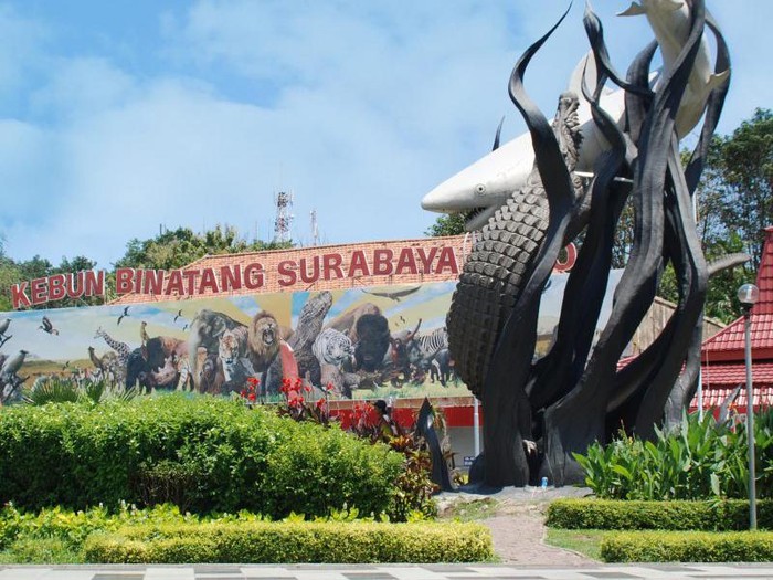 Kebun Binatang Surabaya (KBS) merupakan kebun binatang yang pernah menjadi yang terlengkap se-Asia Tenggara. Ada lebih dari 351 spesies satwa yang berbeda di sini. Total satwa mencapai ribuan.