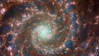 Ini adalah foto-foto yang diliris NASA pada 29 Agustus 2022, saat teleskop luar angkasa James Webb menangkap foto terbaru Galaksi Phantom. Salah satu fenomena lainnya yang didapatkan adalah foto-foto menakjubkan luar angkasa dari teleskop luar angkasa James Webb.  NASA/ESA/CSA James Webb Space Telescope/Handout via REUTERS.