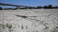 Sungai terpanjang di Italia, Sungai Po juga mengering akibat gelombang panas. Inilah pandangan yang menunjukkan dasar Sungai Po yang mengering di Boretto, Parma, pada 15 Juni 2022. Piero  Cruciatti/AFP via Getty Images.
