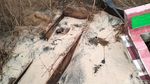 Penampakan Makam Tua di Kalsel Diterjang Ombak hingga Kerangka Manusia Keluar