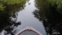 Menelusuri sungai menuju kawasan taman nasional.