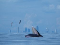 Karya Luar Biasa Pemenang Kontes Foto Alam, Melihatnya Bikin Terkesima