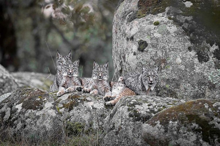 Nature Photographer of the Year 2022