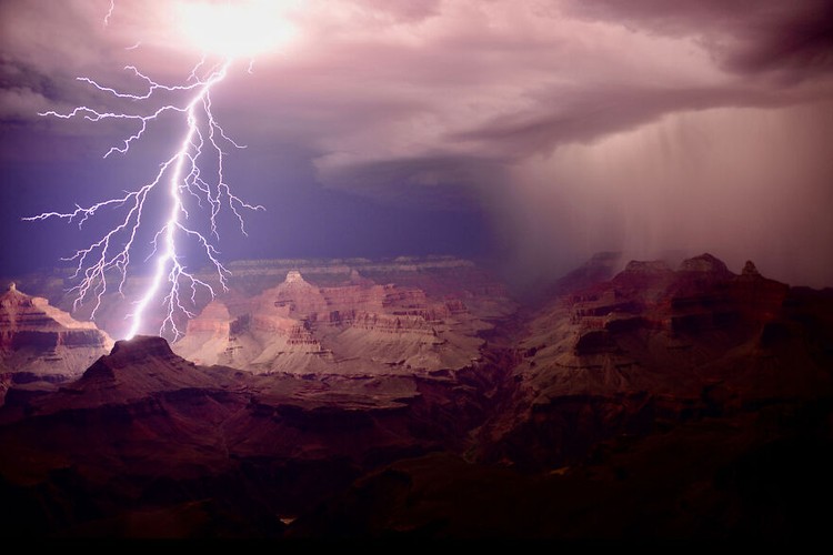 Nature Photographer of the Year 2022