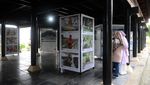 Pameran Foto Peringati Tsunami Aceh