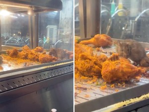 Jijik! Ada Tikus Berkeliaran di Etalase Ayam Goreng Kedai Ini