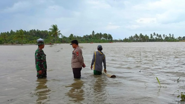 Tim SAR gabungan mencari wanita yang sudah tiga hari hilang hanyut terbawa arus banjir.