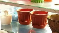 Ingin tampil beda, penjual makanan ini menggunakan pot bunga sebagai wadah makanannya. Dua buah pot tersebut bahkan disajikan berdampingan dengan bakul nasi. Foto: Instagram/uncoditionaldesign