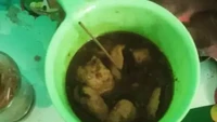 Menerapkan konsep yang unik, seorang pedagang bakso ini malas menyediakan mangkuk banyaknya. Hasilnya para pelanggan yang makan di tempat diberi wadah gayung. Foto: Instagram/uncoditionaldesign