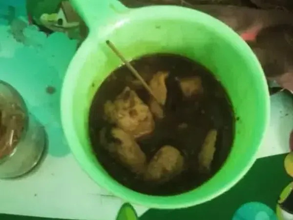 Terlalu Kreatif, 10 Pedagang Makanan Ini Punya Wadah yang Nyeleneh