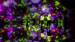 Warna-warni Cahaya di Museum Massless Immersive Beijing