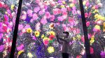 Warna-warni Cahaya di Museum Massless Immersive Beijing
