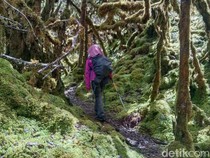 10 Tips Bertahan Hidup saat Tersesat di Gunung, Ikuti agar Bisa Selamat