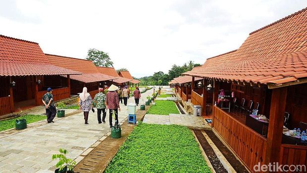 Agro Wisata Tamansuruh Banyuwangi