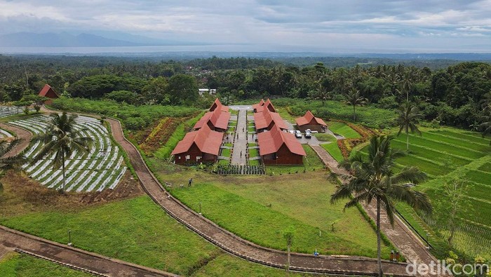 Agro Wisata Tamansuruh Banyuwangi