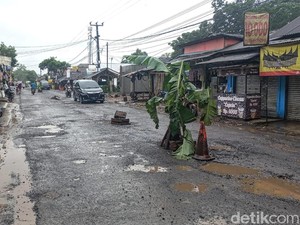 Emak-emak Tanam Pisang  di Tengah Jalan Sukabumi