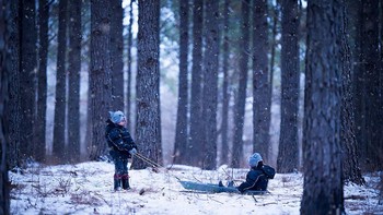 Ini adalah karya Phillip Haumesser  Foto: Phillip Haumesser via Demilked