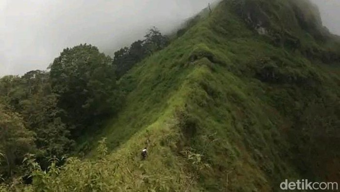 Gunung Argopuro, Kecamatan Krucil, Kabupaten Probolinggo