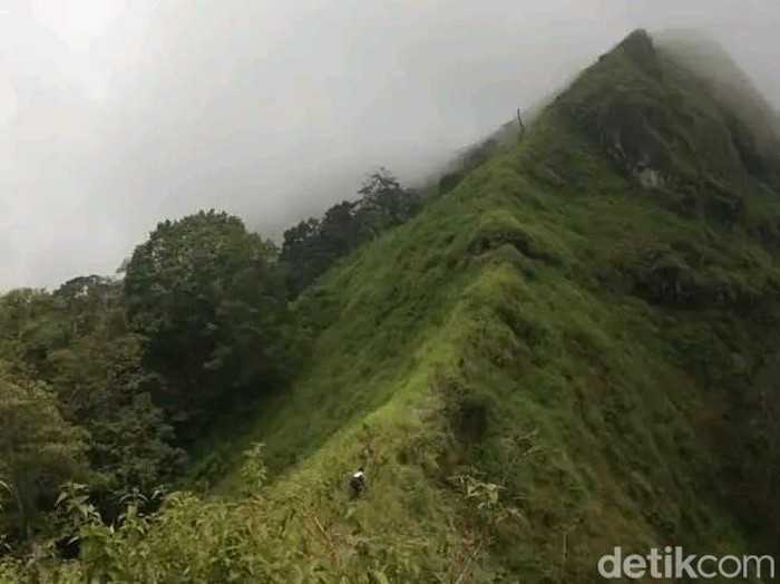 Gunung Argopuro, Kecamatan Krucil, Kabupaten Probolinggo