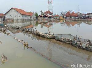 BMKG Keluarkan Peringatan Dini Banjir Rob di Pesisir Utara Jateng
