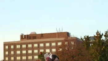 Ditimpuk kotak buah.... Foto: Kaija Straumanis