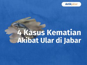 Mereka yang Meninggal Akibat Ular di Jabar