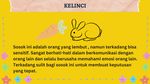 Gambar Kucing atau Kelinci? Hewan yang Pertama Kali Dilihat Ungkap Karakter Kamu