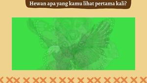 Gambar Kucing atau Kelinci? Hewan yang Pertama Kali Dilihat Ungkap Karakter Kamu