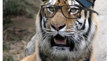 Reaksi fans Liverpool saat Nunez gagal cetak gol. Duh! Foto: Twitter