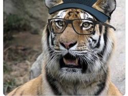 Oh Darwin Nunez Si Raja Meleset Jadi Bahan Ejekan Netizen