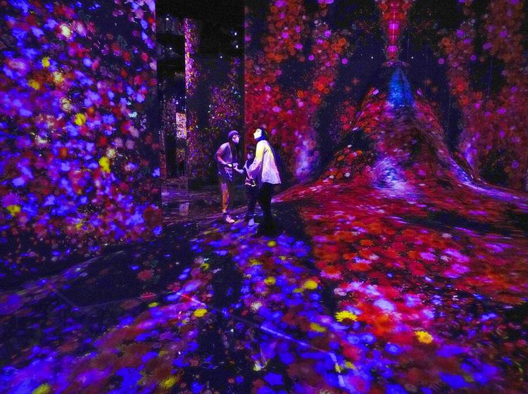 Museum di China Tampilkan Seni Digital Penuh Warna