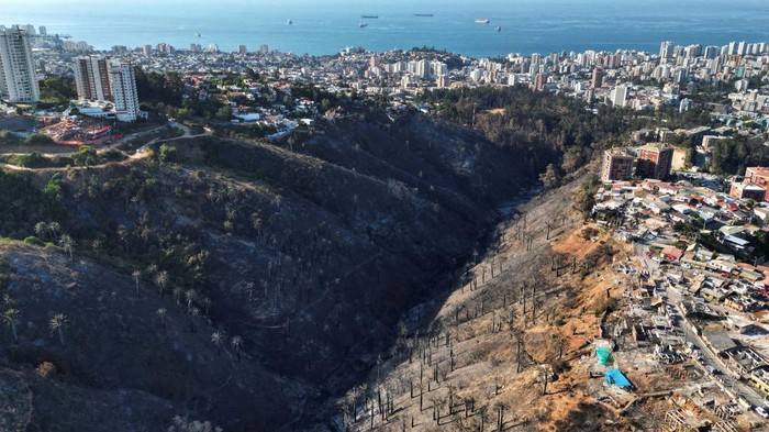 Remains of destroyed homes, palms and burnt forest is seen after a wildfire in Vina del Mar, Chile  December 26, 2022. REUTERS/Rodrigo Garrido