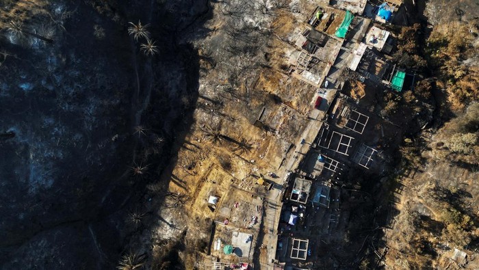 Potret Hutan dan Rumah Warga di Chili Hangus Terbakar Remains of destroyed homes, palms and burnt forest is seen after a wildfire in Vina del Mar, Chile December 26, 2022. REUTERS/Rodrigo Garrido
