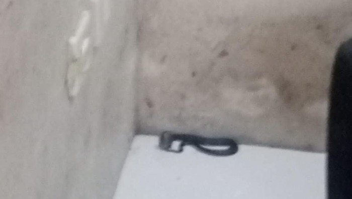 Ular cobra di rumah warga Sumedang.
