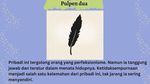 Pilih Pulpen yang Mana? Mungkin Kepribadian Kamu Seperti Ini