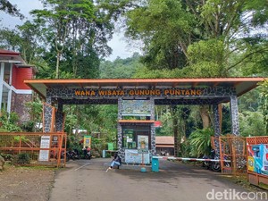 Tiket Masuk Gunung Puntang, Wisata Rekreasi dan Edukasi di Bandung