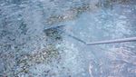Kemegahan Fontana di Trevi, Air Mancur Lancar Jodoh di Italia