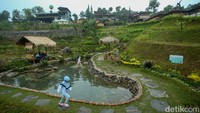 Nuansa pedesaan semakin kental ketika detikcom juga menemukan telaga di sana. Meski telaga ini buatan, sumber airnya langsung dari mata air. Foto: Rifkianto Nugroho/detikcom