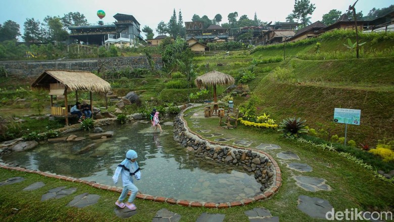 Kopi Koneng di Sentul Kopi Koneng di Sentul