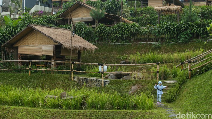 Kopi Koneng di Sentul