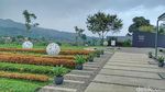 Makam Eril dan Kucing yang Menjaga