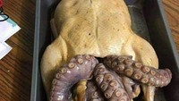 Melakukan eksperimen yang aneh, netizen ini menggabungkan ayam kalkun dan gurita. Penampilannya seperti monster bertubuh ayam yang memiliki tentakel gurita. Foto: Bored Panda