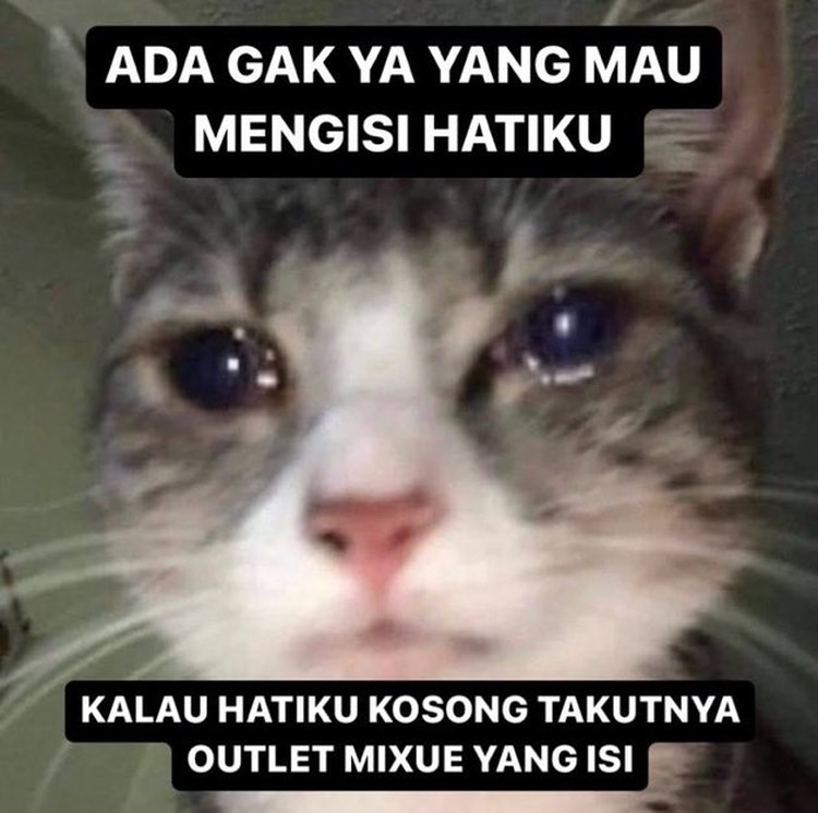Meme Mixue