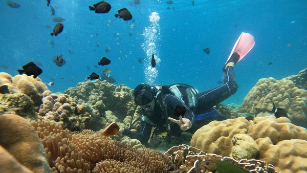 Pengunjung menyelam untuk menikmati pesona bawah laut Pulau Rubiah, kawasan Desa Iboih, Kota Sabang, Aceh. Diving Gampong (desa) Iboih merupakan destinasi unggulan yang menarik wisatawan domestik dan mancanegara, dan telah meraih juara dalam Anugerah Pesona Indonesia (API) Award 2022 kategori Wisata Air. Khalis Surry/Antara Foto Pengunjung menyelam untuk menikmati pesona bawah laut Pulau Rubiah, kawasan Desa Iboih, Kota Sabang, Aceh. Diving Gampong (desa) Iboih merupakan destinasi unggulan yang menarik wisatawan domestik dan mancanegara, dan telah meraih juara dalam Anugerah Pesona Indonesia (API) Award 2022 kategori Wisata Air. Khalis Surry/Antara Foto