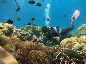 Malaysia Dominasi Kunjungan Wisman ke Aceh