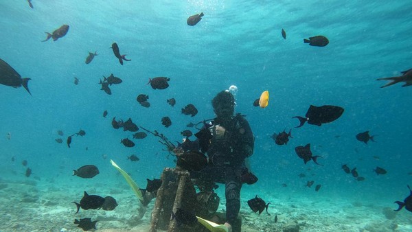 Ada sekitar 18 titik diving di Kota Sabang dengan karakteristik berbeda-beda. Spot diving paling terkenal seperti Batee Tokong, Arus Balee, Seulako, Canyon, Peunateung, dan Rubiah Jetty khusus bagi pengenalan pemula dan menyelam malam hari. Khalis Surry/Antara Foto Ada sekitar 18 titik diving di Kota Sabang dengan karakteristik berbeda-beda. Spot diving paling terkenal seperti Batee Tokong, Arus Balee, Seulako, Canyon, Peunateung, dan Rubiah Jetty khusus bagi pengenalan pemula dan menyelam malam hari. Khalis Surry/Antara Foto