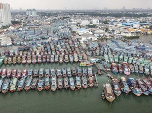 Menyadari Besarnya Jasa Pencari Ikan di Hari Nelayan Nasional
